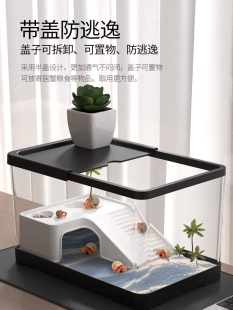 寄居蟹饲养缸生态造景带晒台躲避乌龟缸观赏蟹辣椒蟹别墅饲养盒
