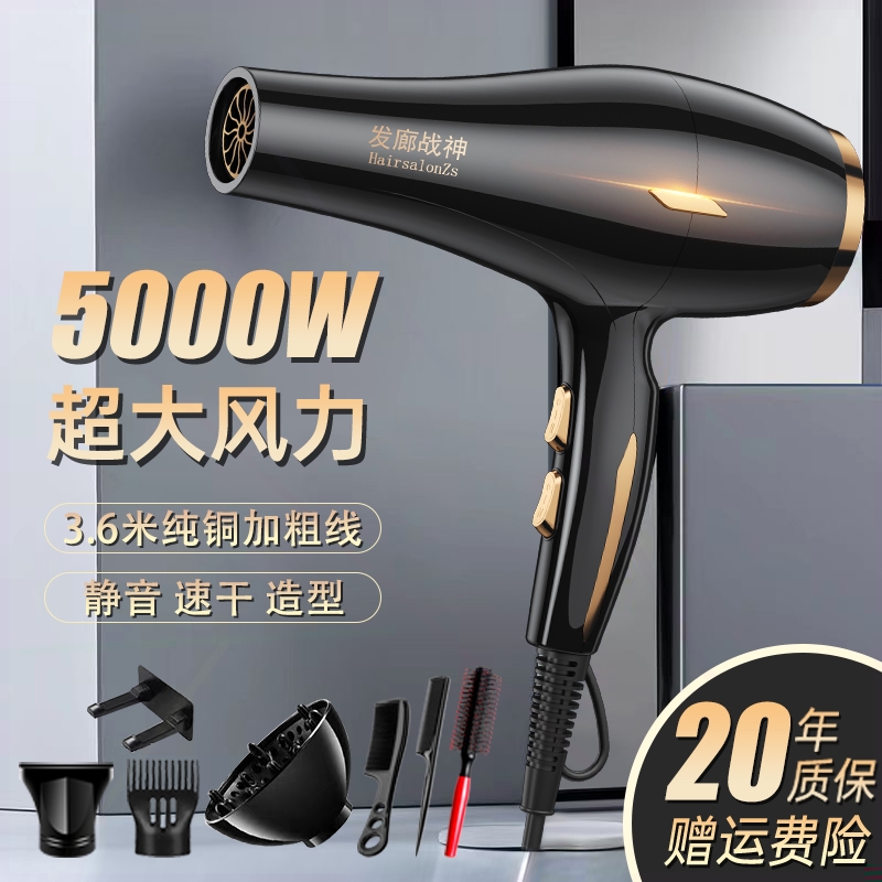 发廊战神吹风机理发店专用大功率子护发静音吹风筒家用大风力负离