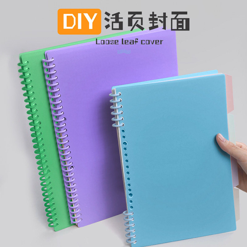 和日升a4活页30孔外壳封面分隔页
