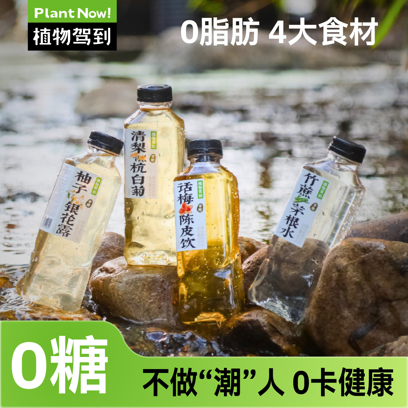 植物驾到0糖0卡竹蔗茅根水陈皮柚子金银花杭菊清梨养生茶植物饮料