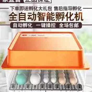 厂销新品新品一望孵化器全自动鸡鸭鹅孵化机智能孵蛋器家用小型孵怎么样,好用不?