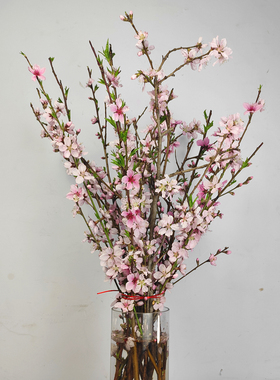 鲜桃花枝插花瓶桌面摆件有造型
