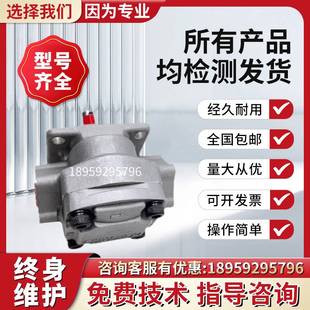 10R 岛津SHIMADZU齿轮泵 11.5高压油泵 GPY 新款 5.8R