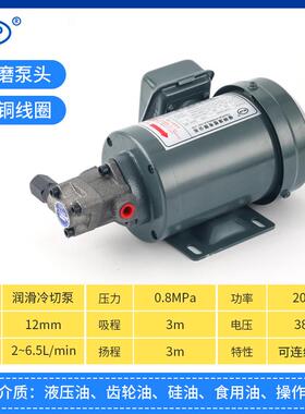新款380V200W齿轮泵电机T ROP1213A摆线泵机床润滑泵螺丝机润包邮