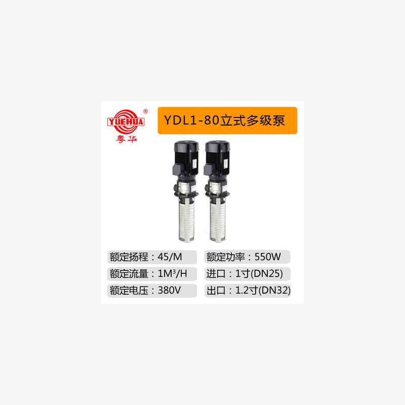 新款YDL1系列不锈钢液下