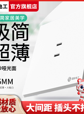 国际电工超薄大板白色开关插座面板床头墙壁暗装86型家用多二孔