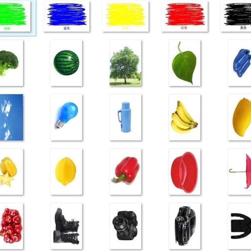 属性卡 颜色 形状 比大小 认知卡片 自闭症儿童康复训练卡片 教具