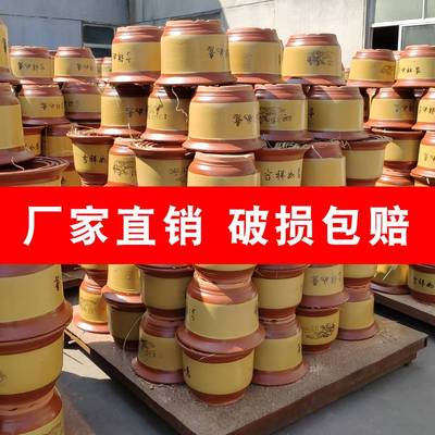 三角梅长寿花月季朱顶红桂花树玉树小叶紫檀盆景兰花专用花盆大号