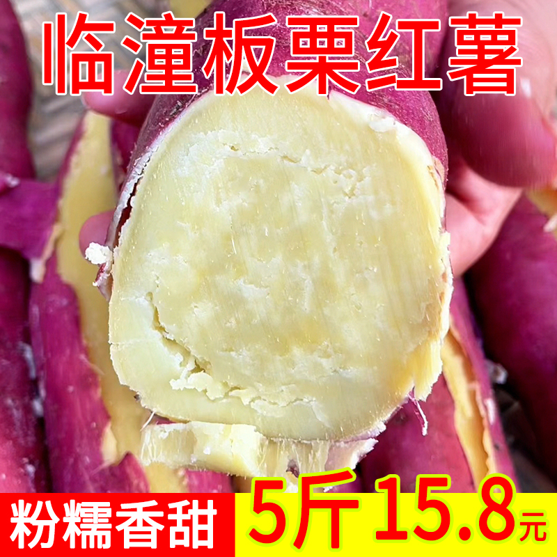 正宗产地临潼陕西板栗红薯粉糯甜