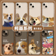 柯基狗狗手机壳适用苹果17promax新款 iPhone16搞怪13mini情侣15pro可爱xr趣味8plus小狗7p透明xs网红14