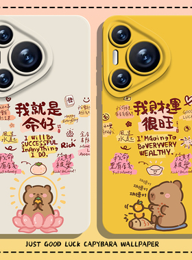 我就是命好手机壳适用华为pura80水豚nova14卡皮巴拉mate70pro好运p60发财50/40/30/13/12/11/10荣耀400男300