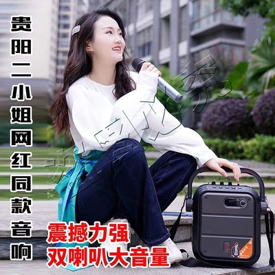 音箱户外音响k歌带声卡直播话筒