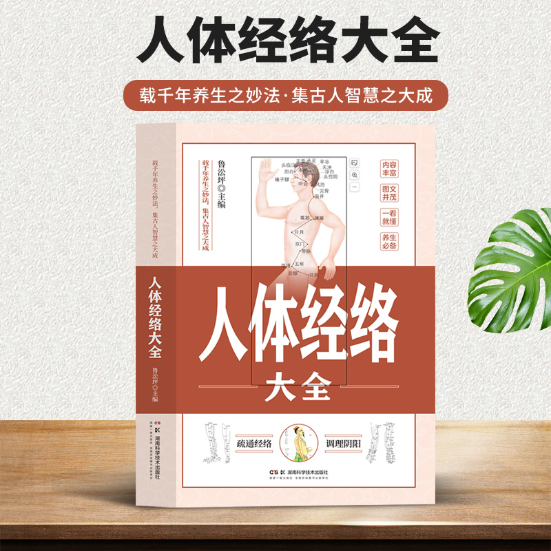 人体经络大全正版图解手法 经络穴位快速记忆 全身经络书籍大全 零基础入门学会手法筋络经络图册使用手册常见病中医养生畅销书籍