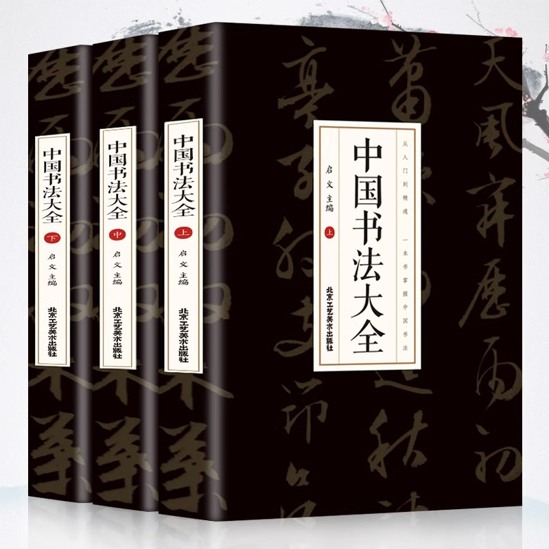 中国书法大全从入门到精通学书法颜真卿欧阳询赵孟俯楷书行书草书篆书隶书毛笔字石门颂礼器碑曹全碑张迁碑中国书法技法基础书籍
