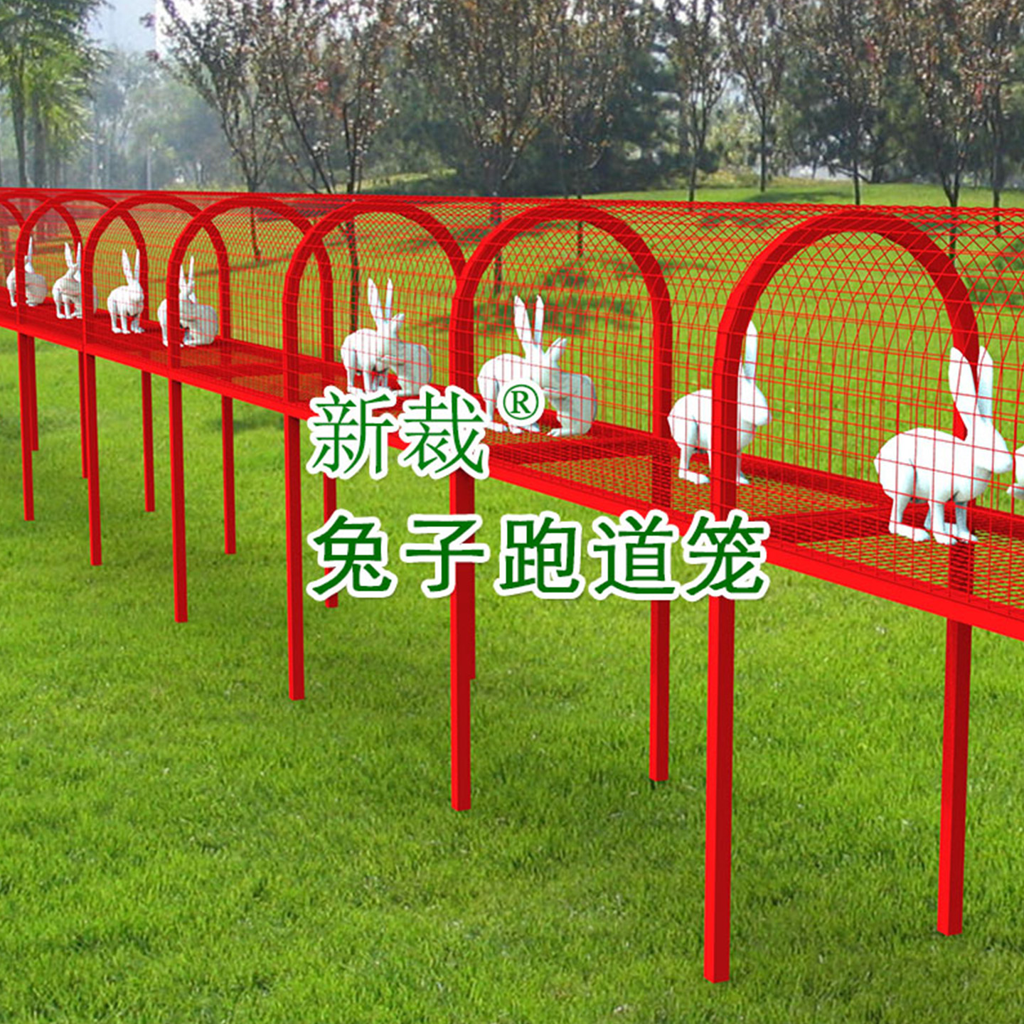 新裁兔子跑道幼儿园养殖区萌宠