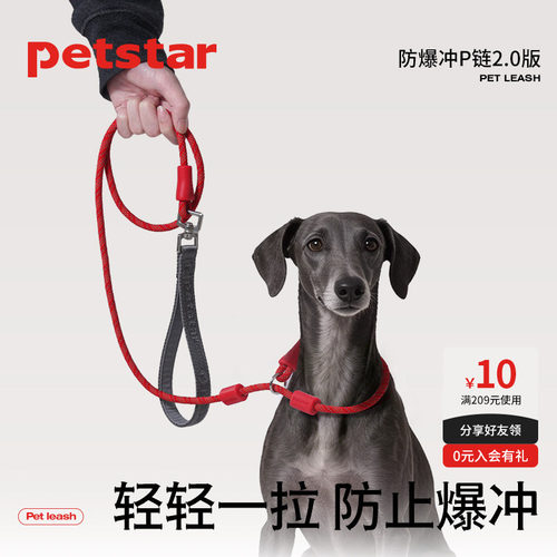 【petstar_防爆冲P链】赛级p绳狗狗牵引绳遛狗链子中大型犬防打结
