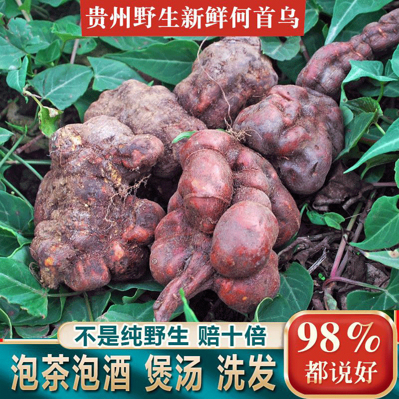 贵州新鲜野生黑何首乌新鲜生首乌首乌赤首乌血首乌正品药材500克