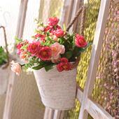 复古铁艺壁挂花桶花器花盆墙挂花花篮墙面装 饰桶 饰花盆庭院装