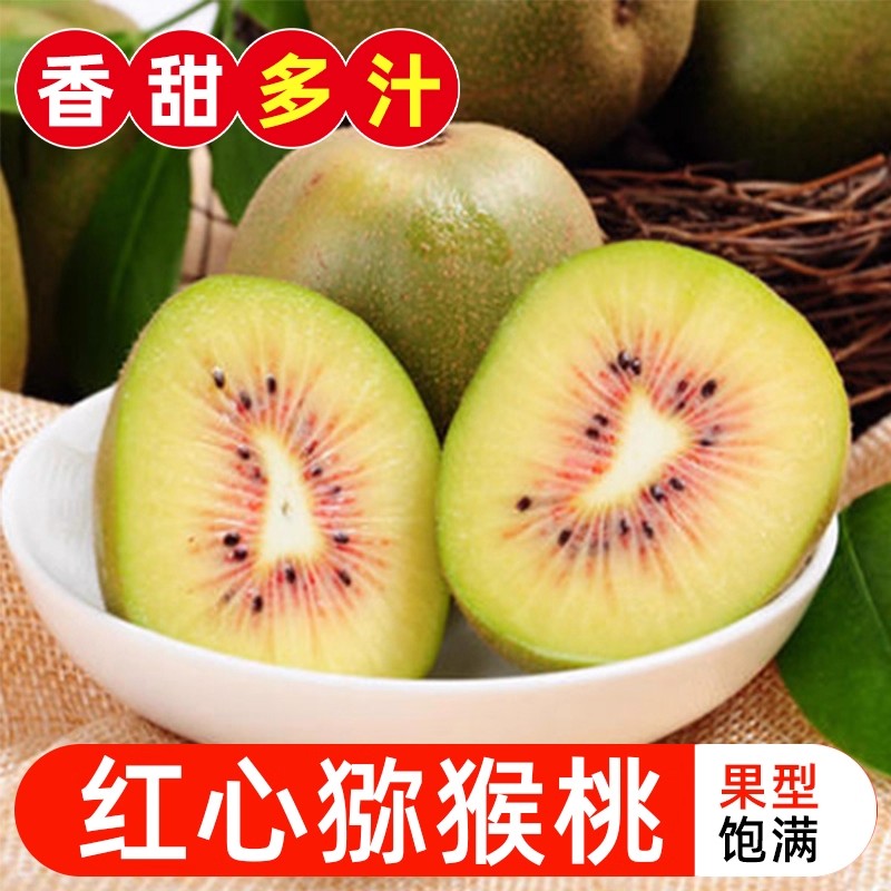 正宗蒲江红心猕猴桃 奇异果水果源头直发包邮红心猕猴桃红心猕猴
