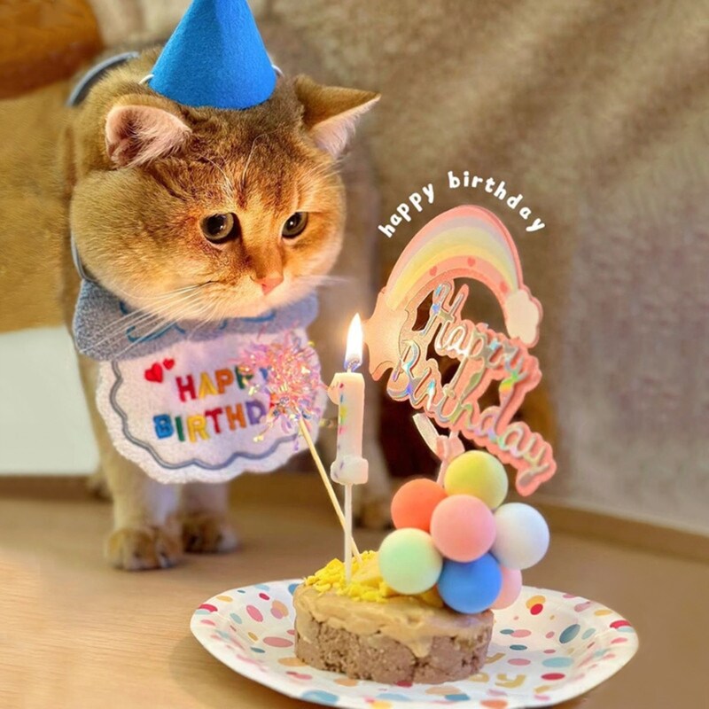 猫咪生日装扮道具一岁宠物围兜小狗狗过生日蜡烛蛋糕围脖新款帽子