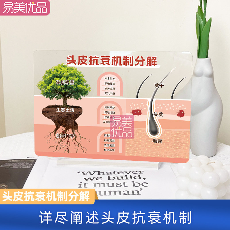 高透UV双面印刷亚克力摆台头发抗衰机制分解美发沙龙医患沟通护发