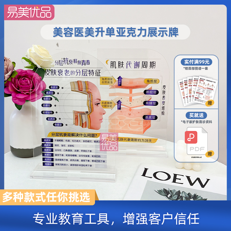 美容展示牌立牌分层抗衰肌肤结构亚克力医学面部皮肤解剖知识医美