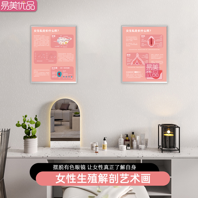 医美知识科普女性生殖解剖示意图