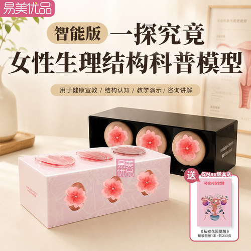 女性盆底健康科普模型妇科护理教学教具生理结构认知咨询演示摆台