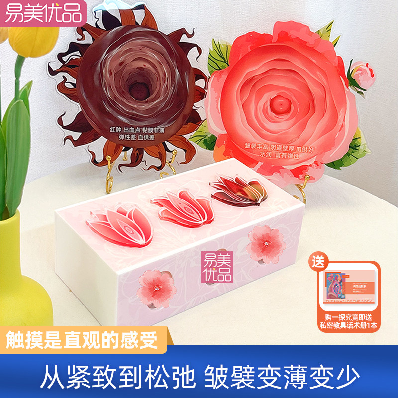 女性一探究竟产科妇科普医疗教学仿真模型生殖展示生理解剖变化