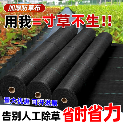 果树防草布除草布耐用果园园艺遮草布种植盖草地布抗老化pe黑地膜