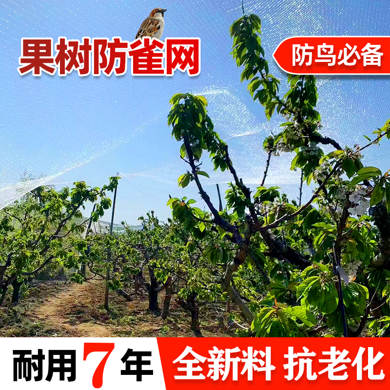 果园水果树专用防鸟网