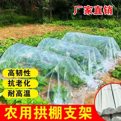 玻璃钢纤维杆大棚支架拱杆育苗玻璃棒长杆菜园菜地骨架拱形架搭棚