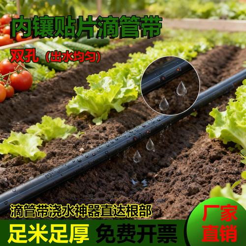 滴灌带神器进口农用微喷带新型贴片式单孔双孔滴灌管菜地玉米地用