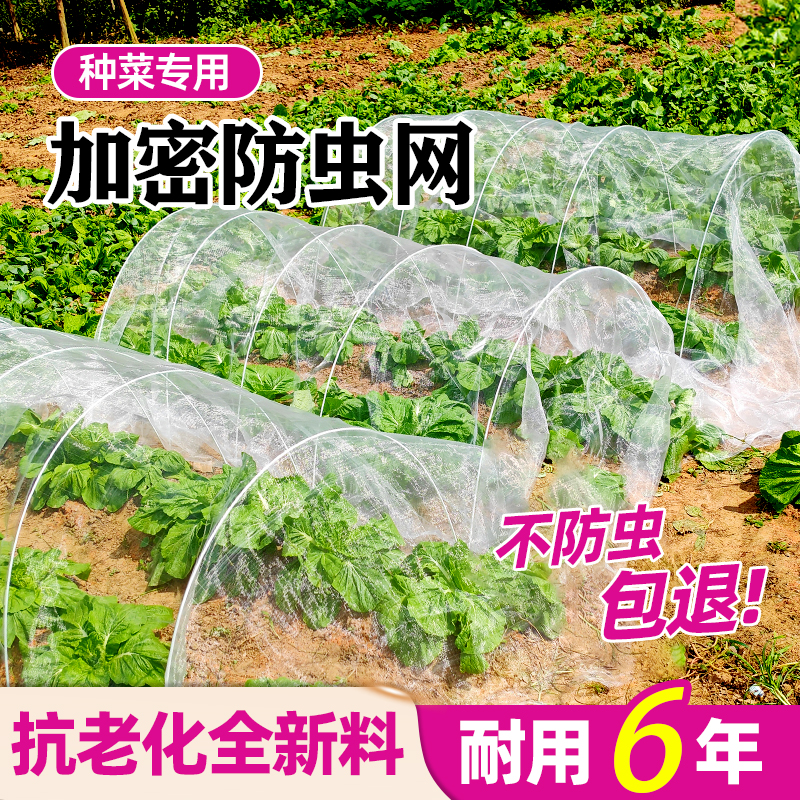 菜地防虫网抗老化加厚防蚊全新料