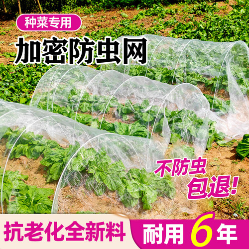 菜地防虫网抗老化加厚防蚊全新料