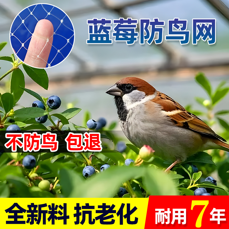 果树防鸟专用网果园大棚加粗尼龙线防乌网阳台樱桃树葡萄鱼塘天网