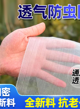 透气防虫网防蚊大棚蔬菜专用网防护罩果园桑葚采摘果树树下接果网