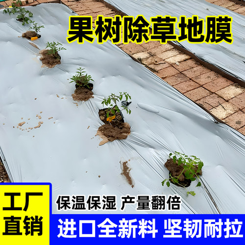 除草防草遮草地面清理专家