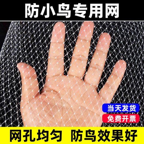 防小鸟专用网小孔果树果园大棚养殖尼龙线阳台樱桃树葡萄树防鸟网