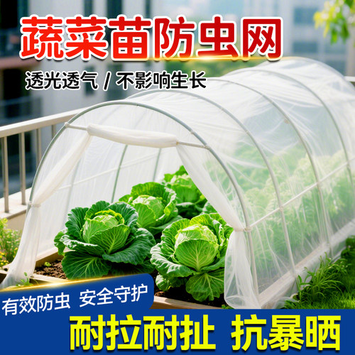 仁禾青加密加厚防虫网