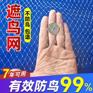 草莓大棚果树防鸟网樱桃葡萄梨树果园防鸟用的网养殖网遮鸟网天网