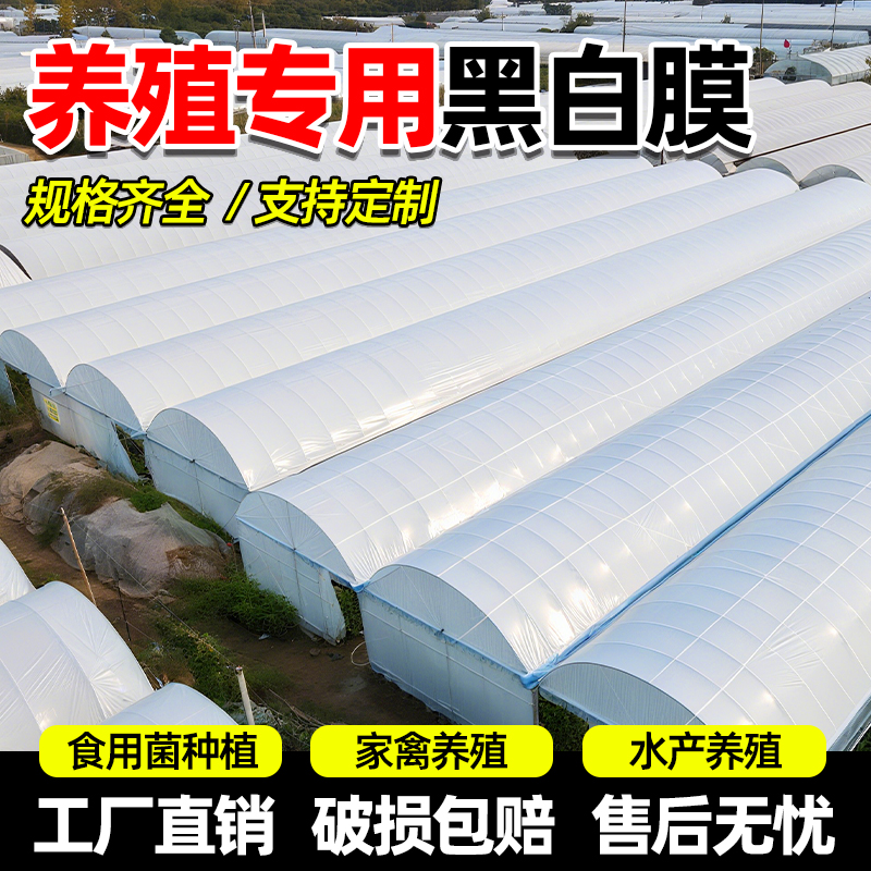 进口黑白膜大棚专用养殖加厚隔热
