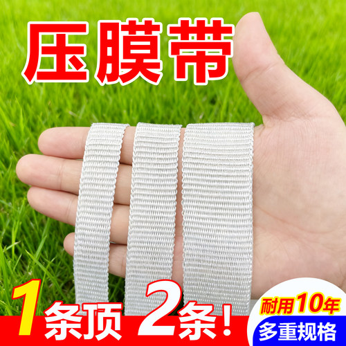 压膜带耐磨抗风防鸟网固定器