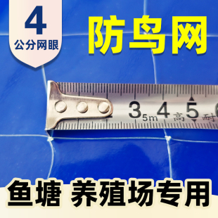 鱼塘稻田防鸟网天网4厘米网孔池塘养殖泥鳅青蛙龙虾尼龙网防白鹭