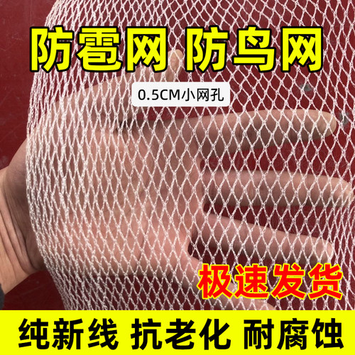 防冰雹网果树防雹网果园防鸟网葡萄网园艺全新白色聚乙烯厂家直销