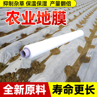 農(nóng)業(yè)地膜蓋菜種菜保濕 專用小菜園蔬菜保溫防草大棚專用農(nóng)用塑料膜