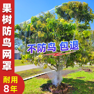 防鸟用的网樱桃丝网果园盖树嘉宝网遮树草莓果树网罩菜园大棚罩纱