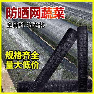 防晒网蔬菜植物多肉隔热遮阳网遮光养殖农用大棚黑网纱加厚批发价