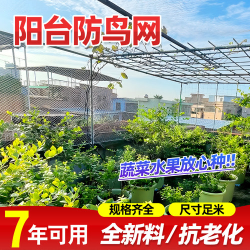 防鸟网果树阳台防鸟网