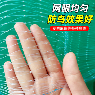 防鸟网果树果园专用防小鸟用的网养殖鱼塘蔬菜园樱桃树小孔尼龙线